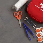 Car Essentials Everything You Need For A Road Trip