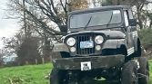 Brown 1979 Jeep manual 4.2L off-road vehicle For Sale